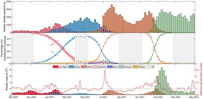 Mathematical modeling of SARS-CoV-2 variant substitutions in European countries: transmission dynamics and epidemiological insights